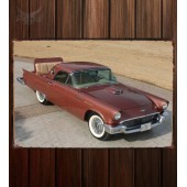 Металлическая табличка Ford Thunderbird Rumble Seat